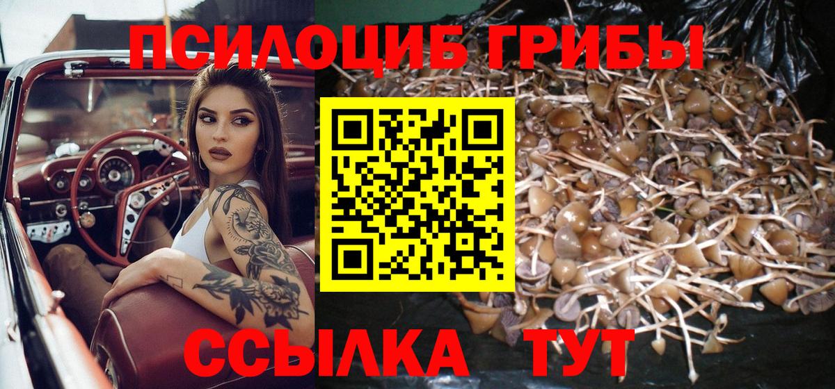 Галлюциногенные грибы мицелий Кулебаки