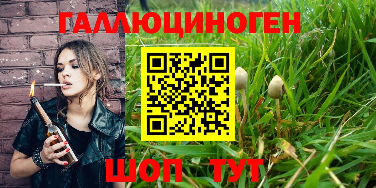 Галлюциногенные грибы прущие грибы  Псилоцибиновые грибы Psilocybe  Кулебаки  Вход с VPN 